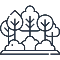 landscape garden