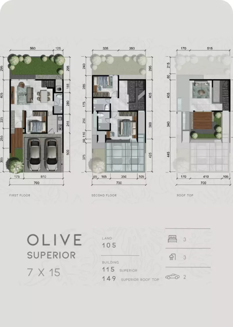 denah olive tipe superior 