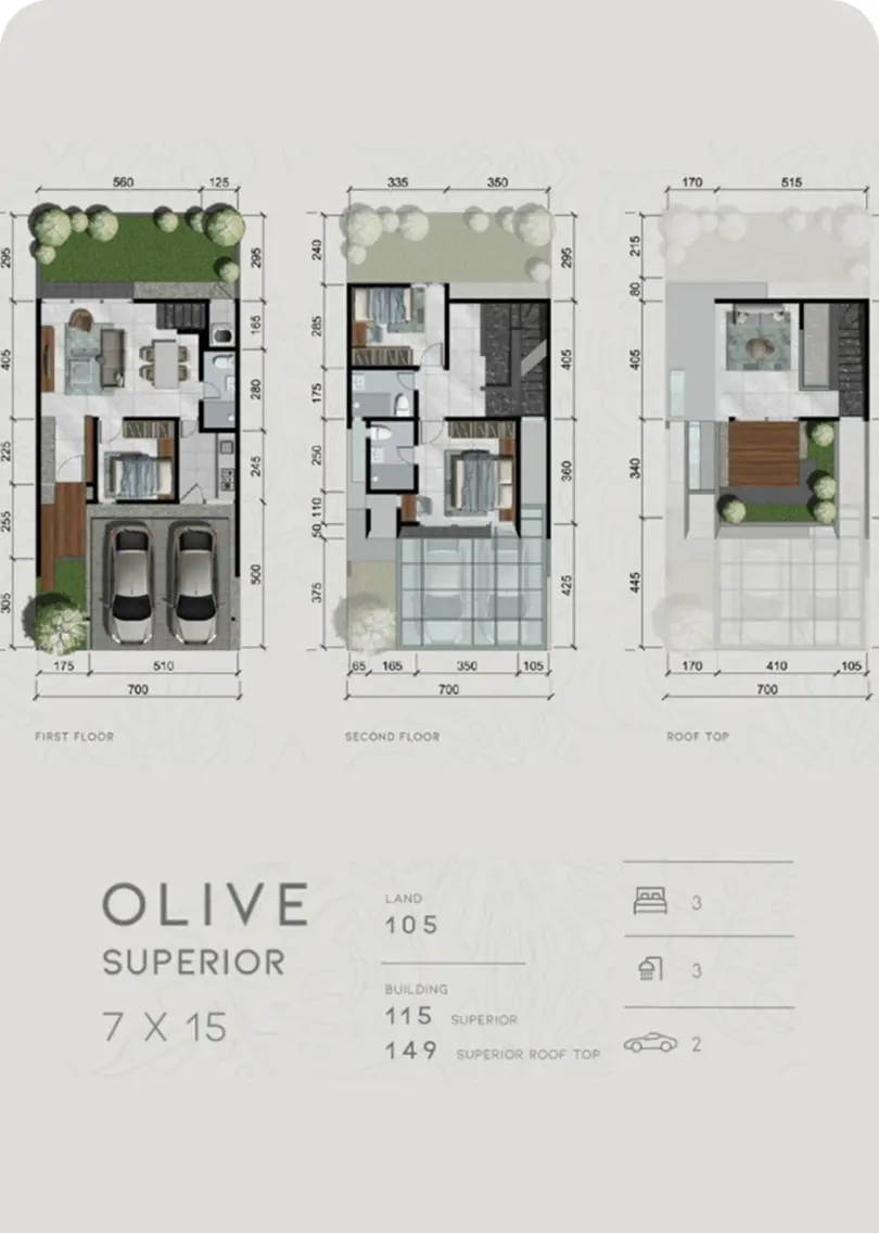 denah olive tipe superior