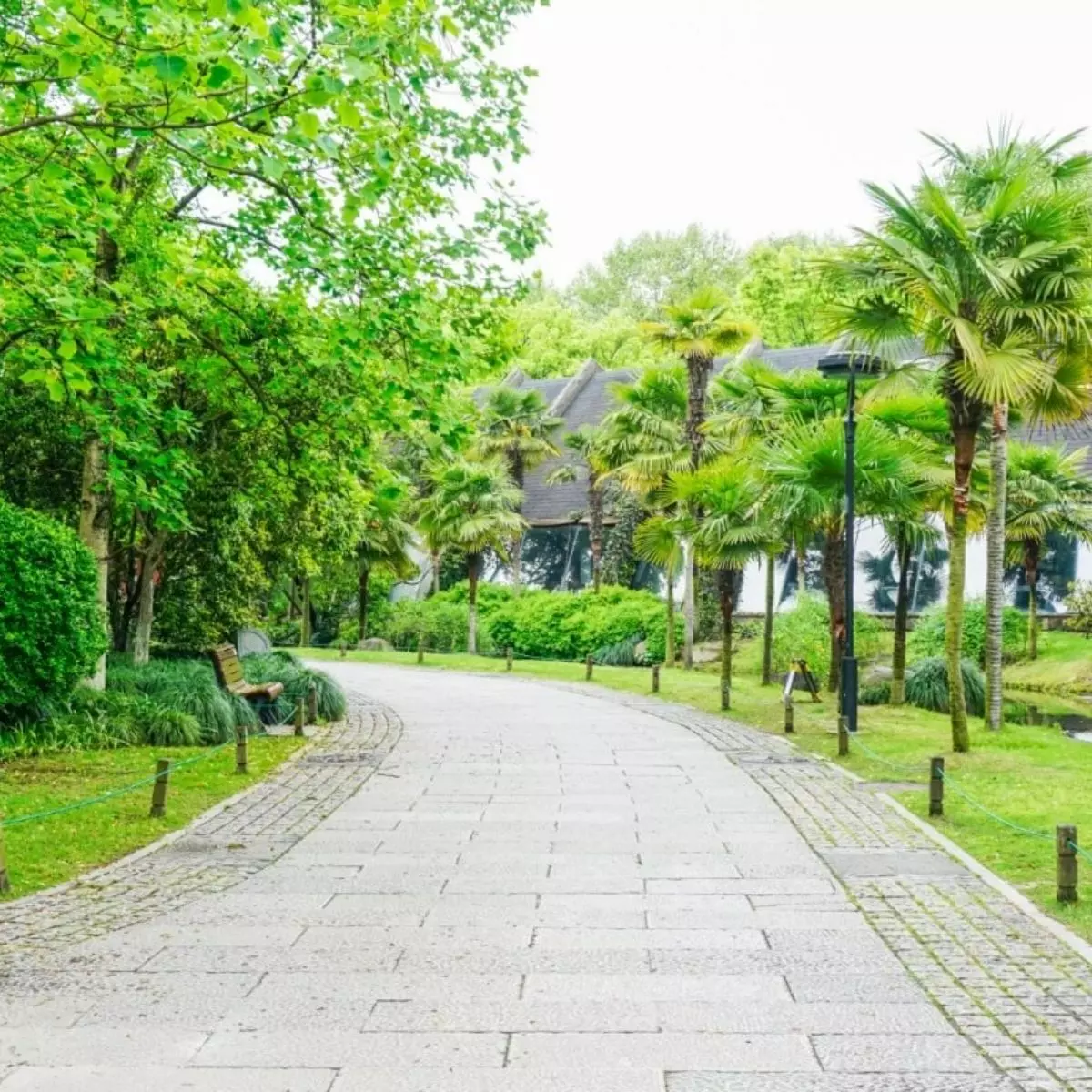 Tips Memilih Perumahan dengan RTH Ideal