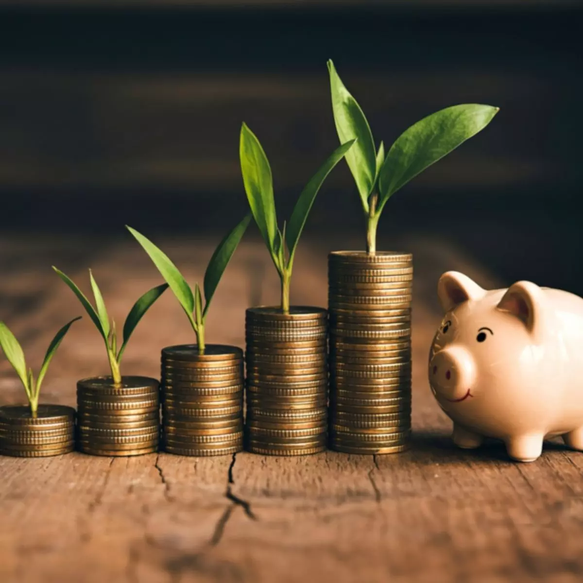 Nilai Investasi Jangka Panjang