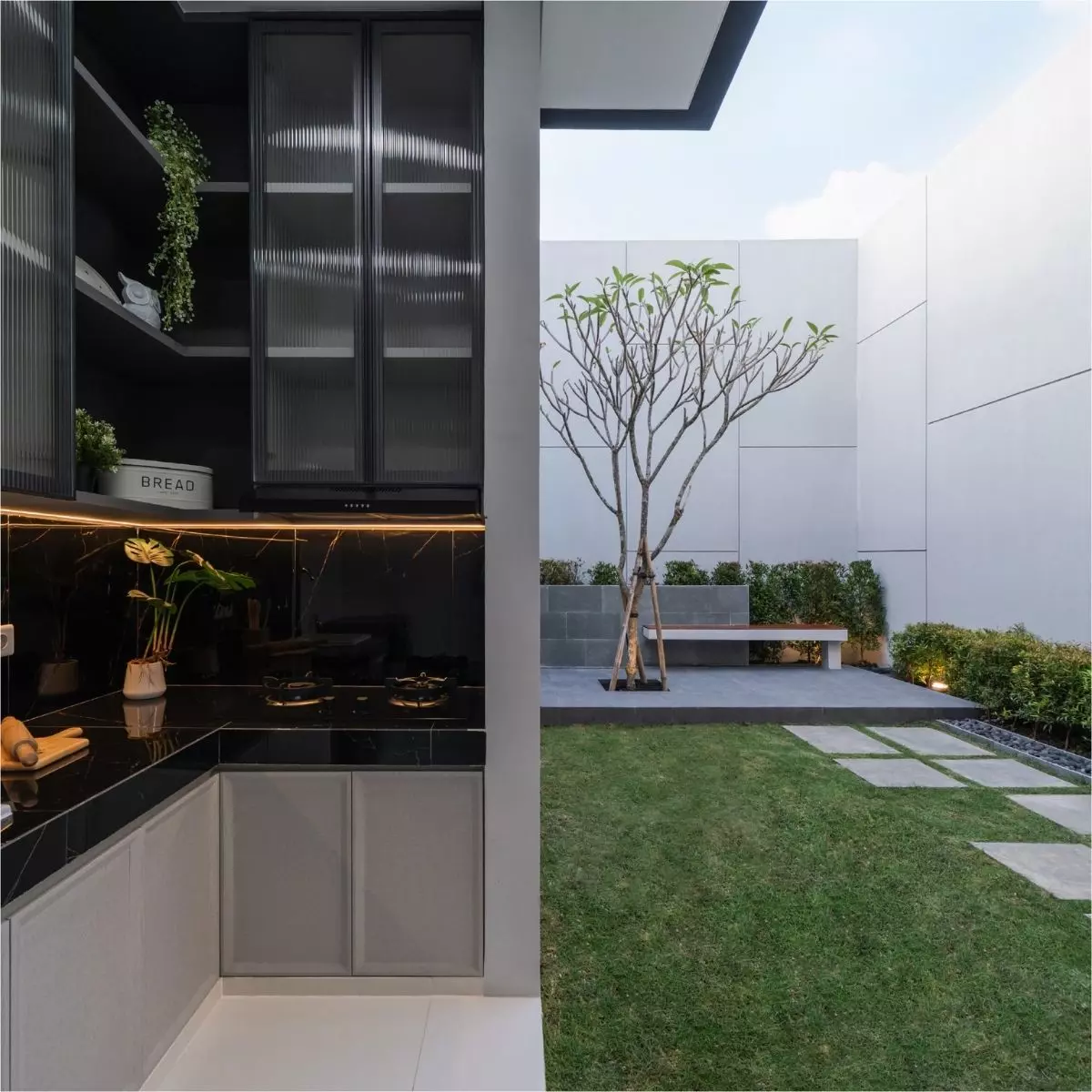 Apa Itu Courtyard dalam Rumah?
